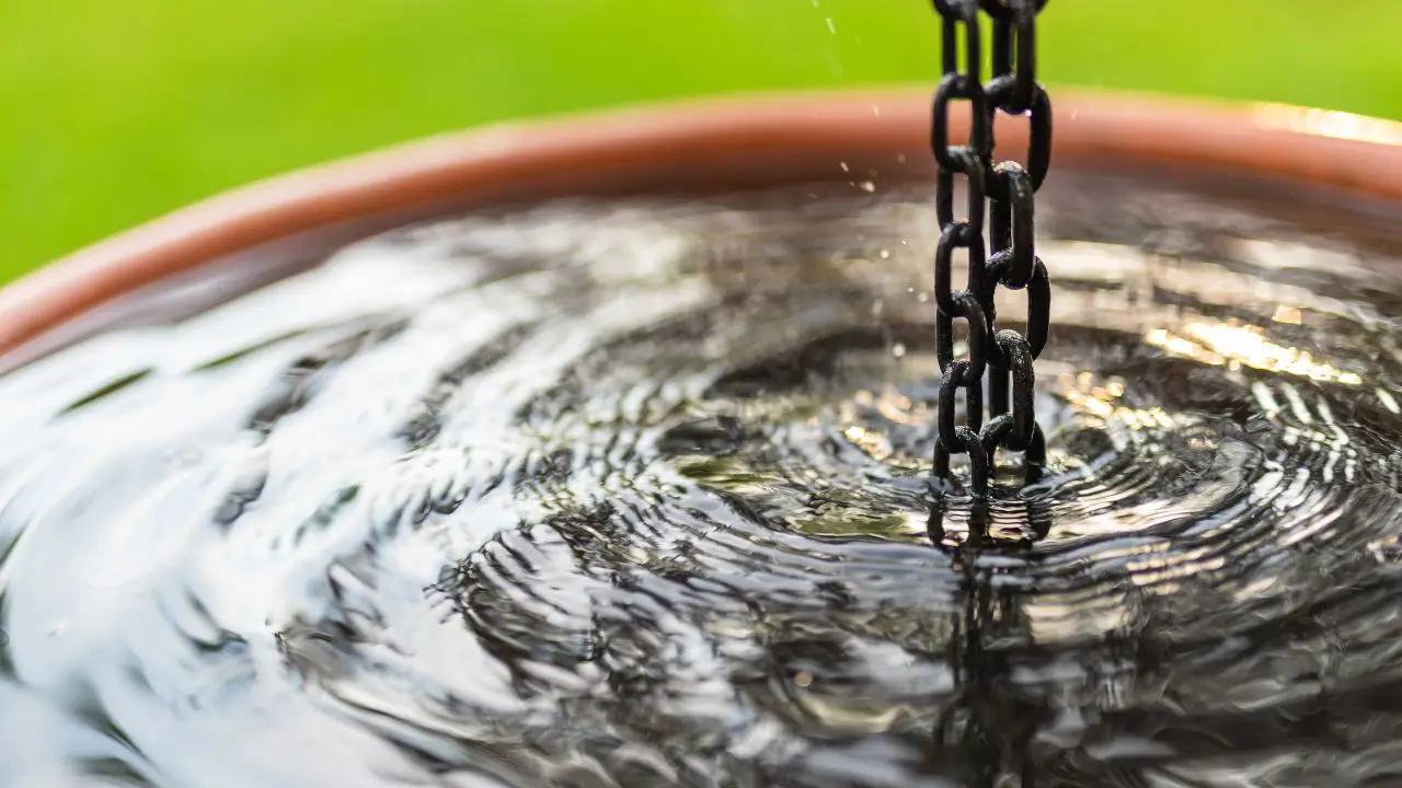 Il trucco per evitare il ristagno idrico: il consiglio semplice che usano i vivaisti