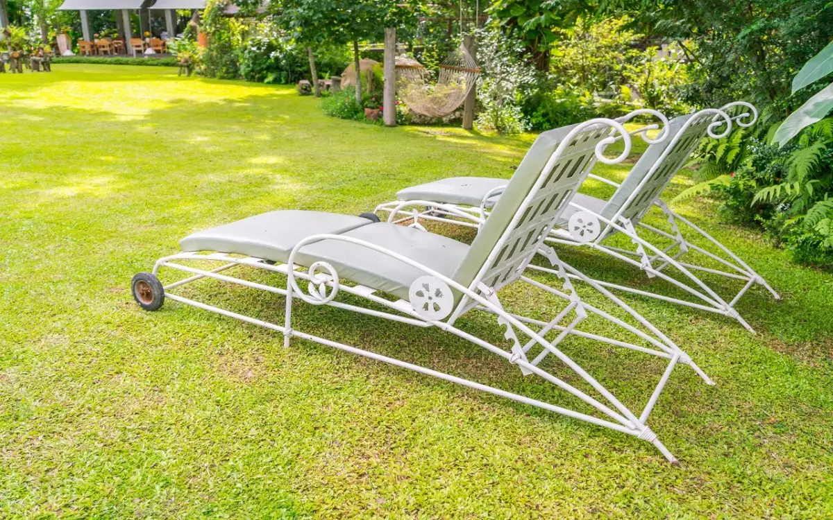 Vuoi un giardino profumato anche d’estate? Scegli la pianta che resiste al caldo e non ha bisogno d’acqua