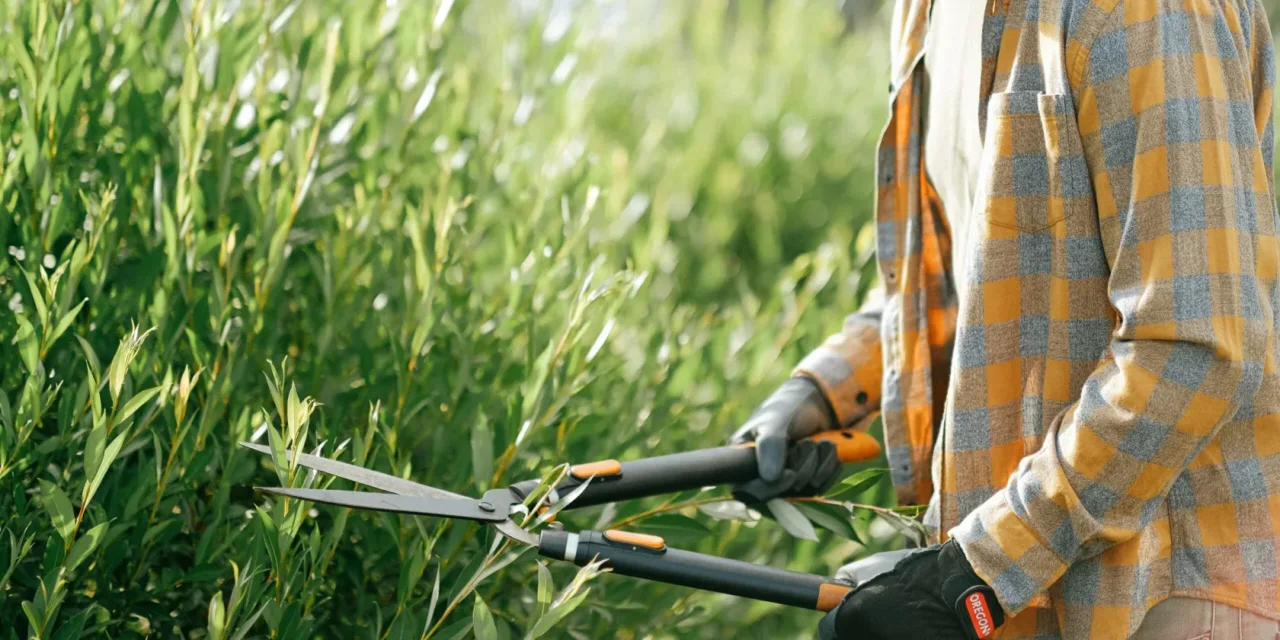 Aprire un’attività di giardinaggio: ecco gli errori burocratici che fanno fallire subito
