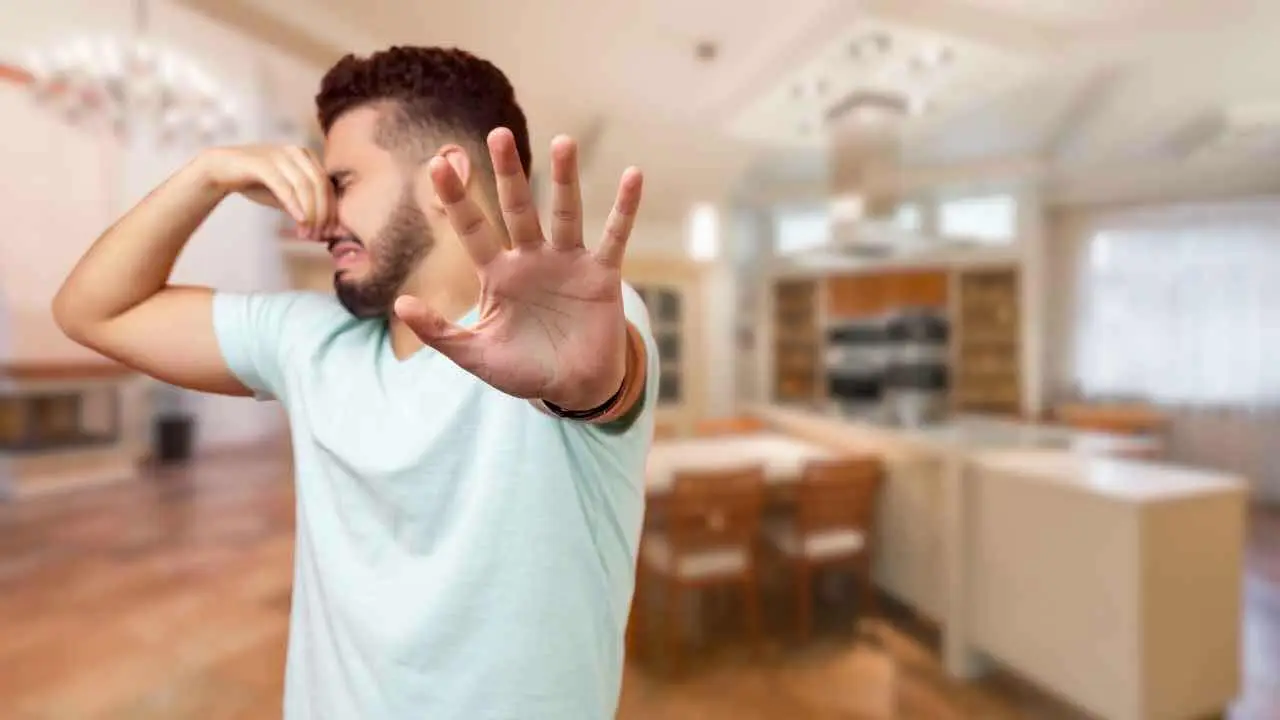 Puzza terribile di uovo marcio in casa? Ecco l’unico metodo rapido per eliminarla subito